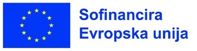 eu logo